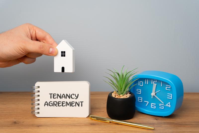 Tenancy Agreement3